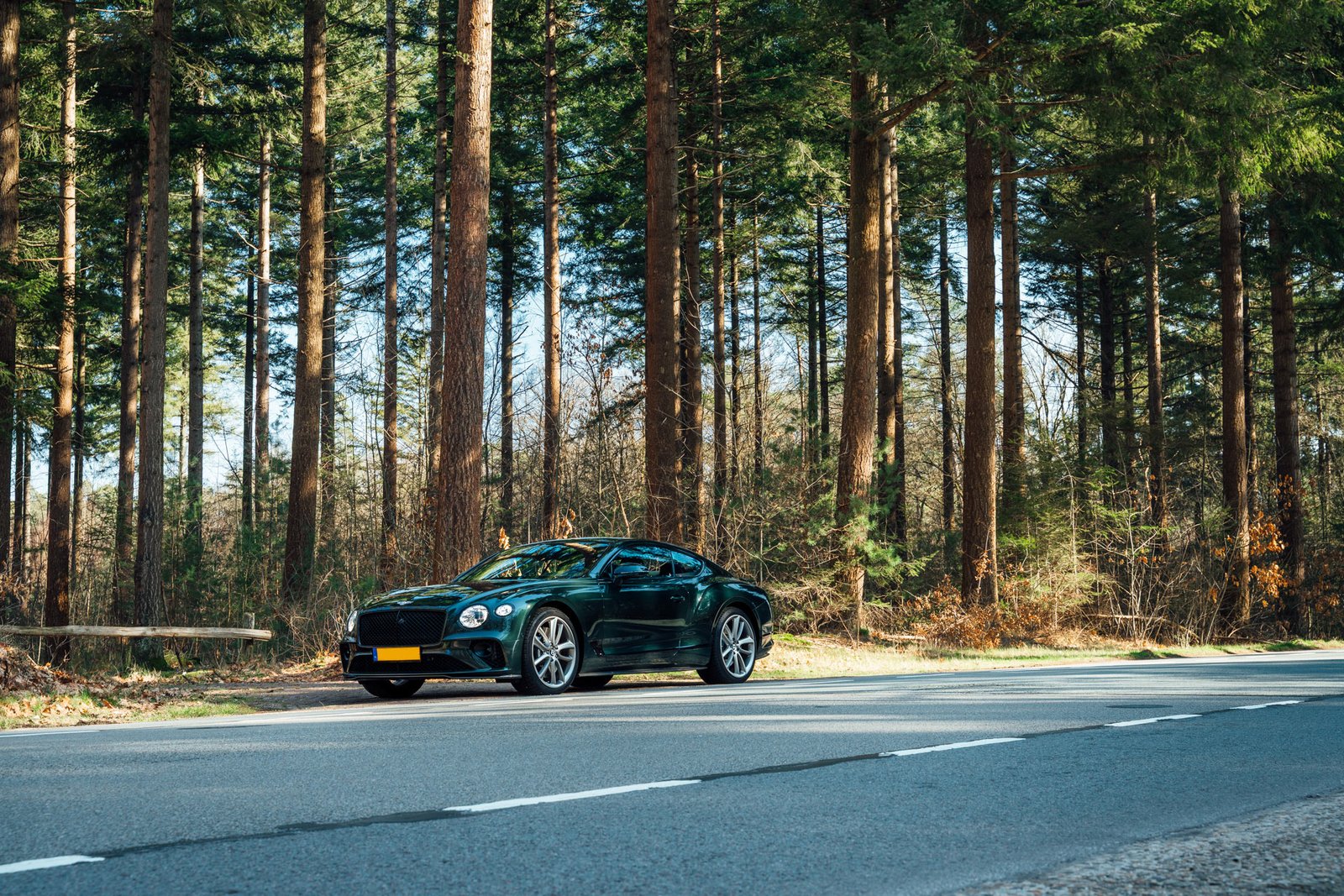 Bentley parked on side of road in a forest
